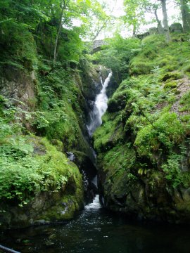 Aira Force and bridge